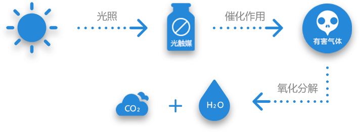 治理原理