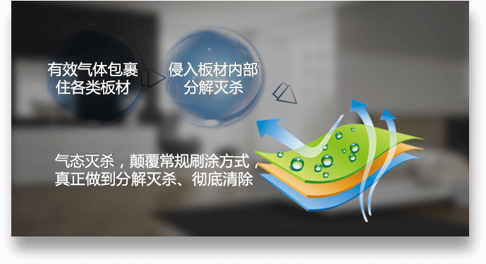 独有除醛技术