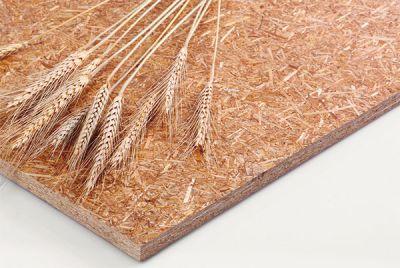 1507364555436987.jpg u=680258135,1703261289&fm=26&gp=0.jpg