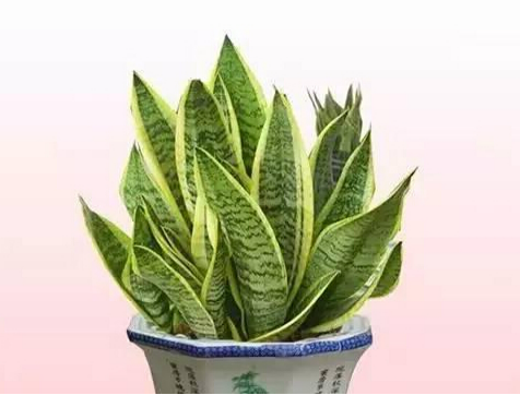 室内除甲醛的必要性及甲醛的危害来源